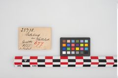Etikett zu Bronzemehrkopfnadel (NHMW-PRAE-025738)